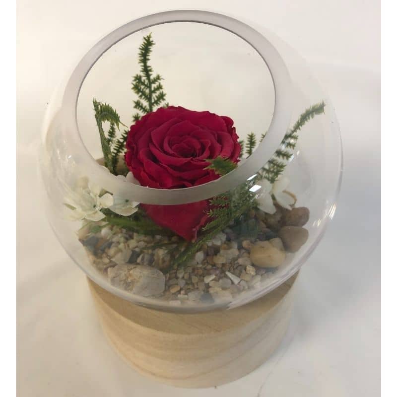 Rose éternelle en arrangement - Boutique cadeau Uni-fleur de Sainte-Justine